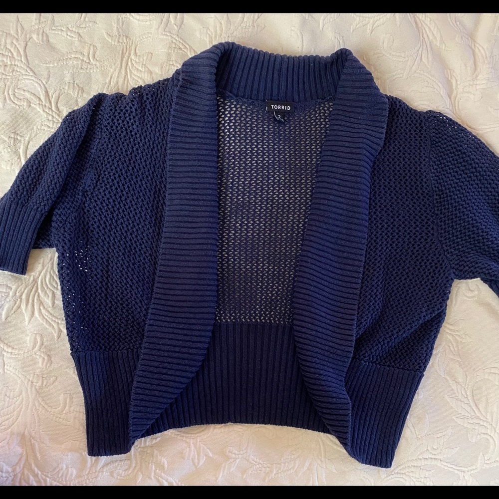 Torrid crop sweater
